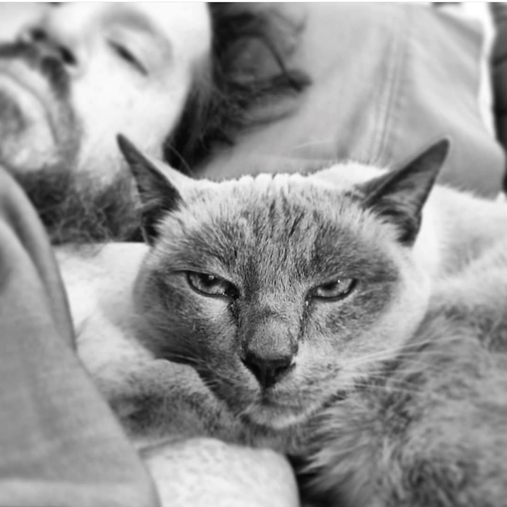 Meet your Posher, Angus